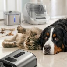Casa Smart per cani e gatti: distributori, fontane, lettiere, GPS e giochi intelligenti
