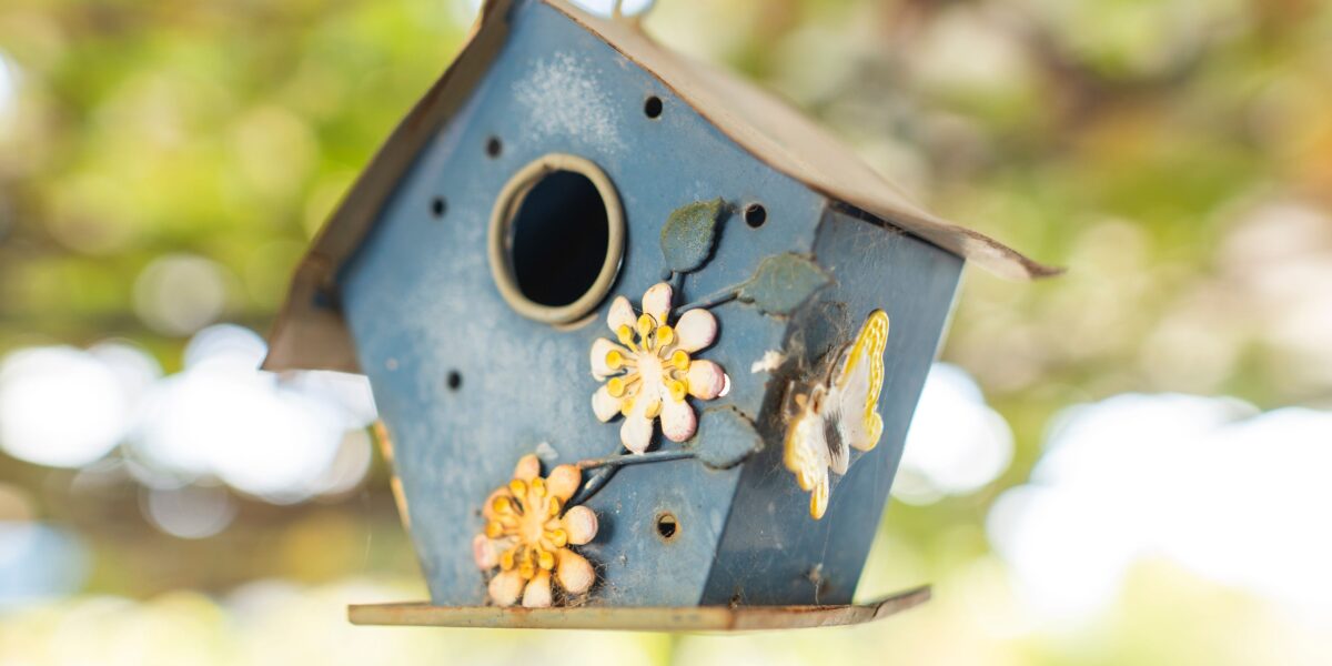 Abbeveratoi da giardino per piccoli esploratori: casette per uccellini, api e farfalle