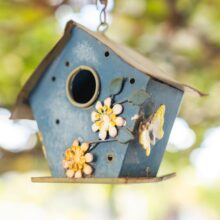 Abbeveratoi da giardino per piccoli esploratori: casette per uccellini, api e farfalle